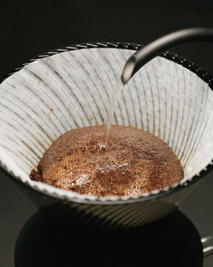 Hario NEO V60 Dripper هاريو نيو دريبر - Kshta