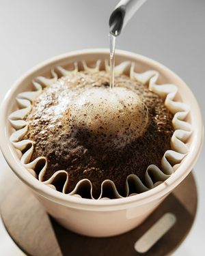 MHW-3BOMBER Meteor Coffee Dripper  بومبر دريبر موديل ميدير - Kshta