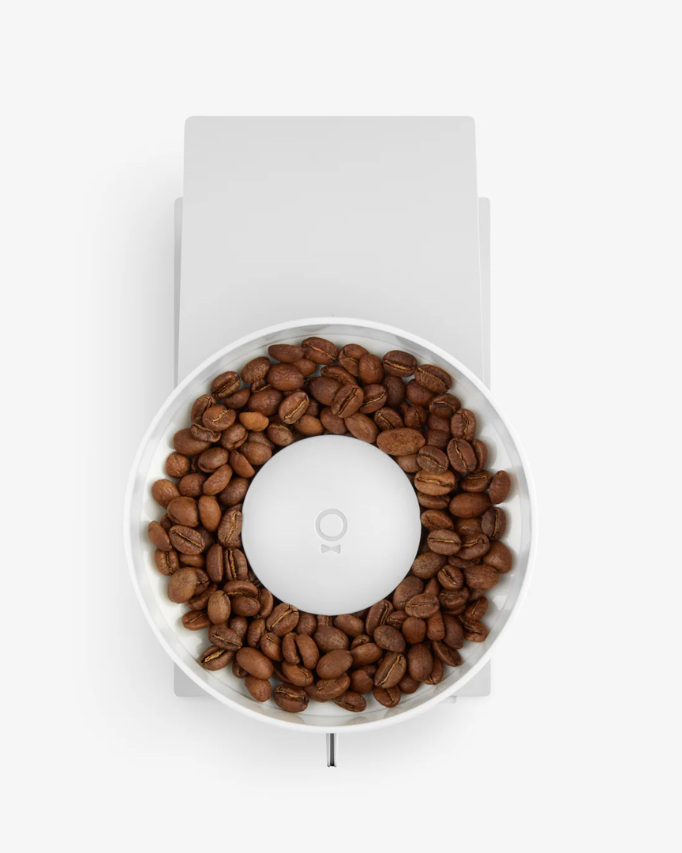 Fellow Opus Conical Burr Coffee Grinder  فيلو مطحنه كهربائية - Kshta