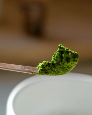 Chashaku Matcha Scoop ملعقة ماشا - Kshta