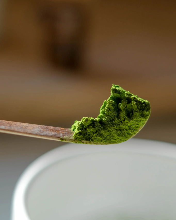 Chashaku Matcha Scoop ملعقة ماشا - Kshta