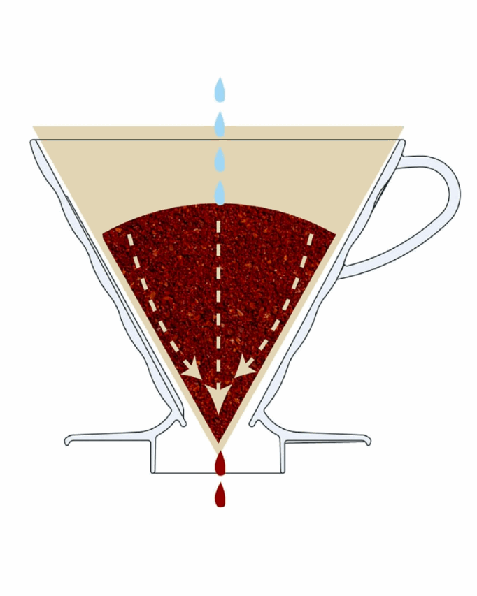 دريبر من هاريو  Hario V60 Plastic - Kshta